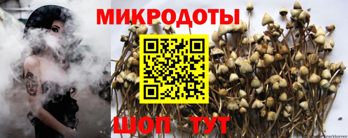 Гай  Псилоцибиновые грибы мухоморы  Вход с VPN  Псилоцибиновые грибы GOLDEN TEACHER 